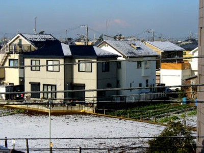 昨日午後からはらはらと降っていた小雪は朝になって薄化粧となりました