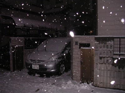 DSCN2380.jpg