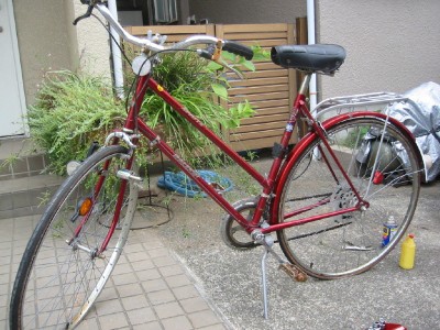 色といい、スタイルといい、なかなか見ない型ですね。
