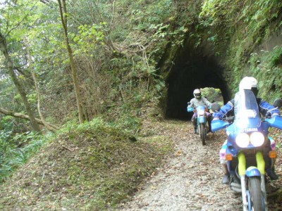 高宕山林道のスットンは健在なり！