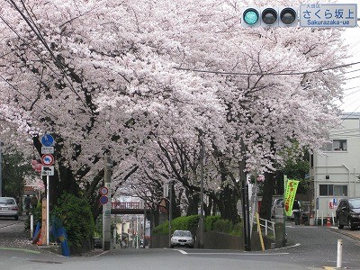 右奥に福山雅治が住んでた…らしい