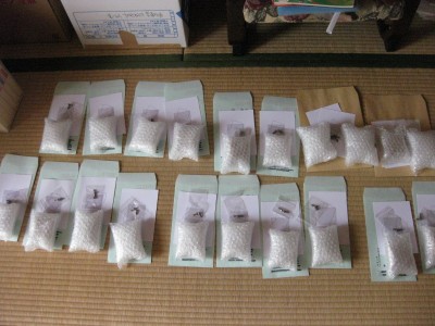 本日の出荷個数20個