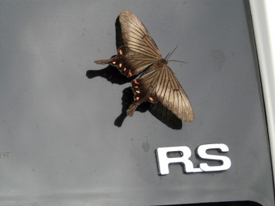 resize0586.jpg