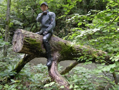 wood.jpg (216.5 KiB) 閲覧された回数 14293 回 wood.jpg