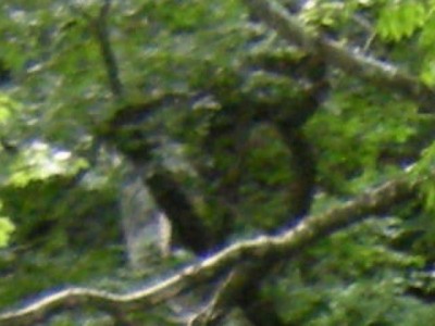 masaka3.jpg (42.89 KiB) 閲覧された回数 15268 回 おおっ!?