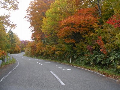 裏磐梯の紅葉。中腹あたりが今盛り。