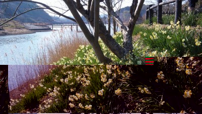 DVC00017.jpg (198.27 KiB) 閲覧された回数 13570 回 DVC00017.jpg