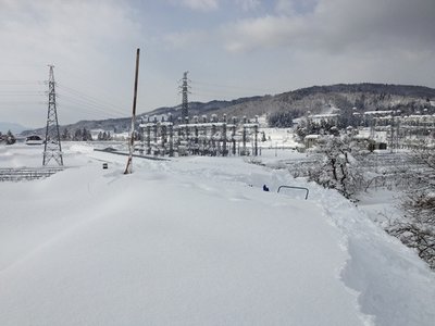 ここ二階の屋根