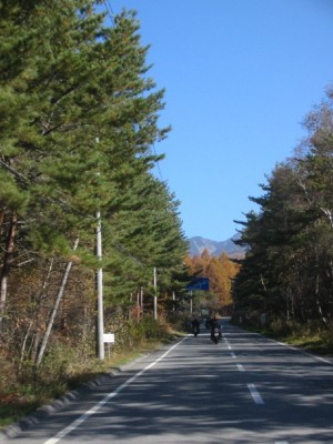 紅葉の八ヶ岳ズームライン