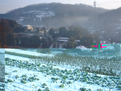 ちょっとルートから外れた場所ですが、雪が降るとこんな風景が広がります。