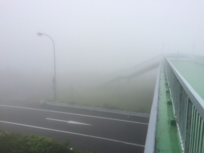 1506霧の代観山.JPG