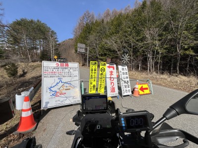 IMG_2968.jpeg