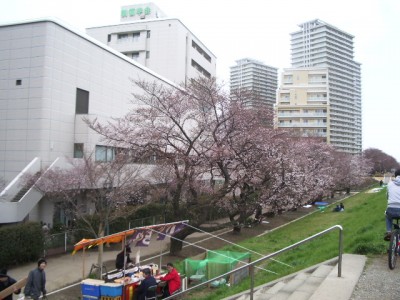 学会偵察