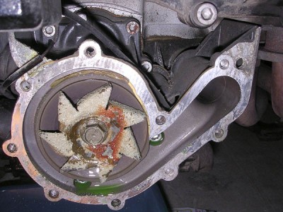 mp6191.jpg