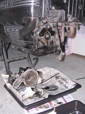 mp6236.jpg