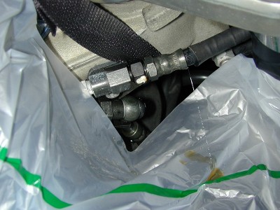 DSCN0338.jpg