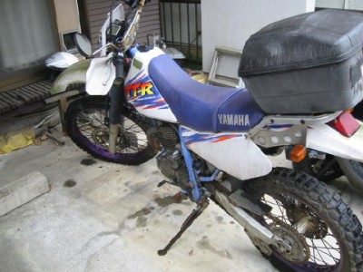 TT-250Rの初期型のようです。
