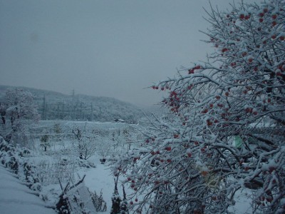 DSC01573.JPG (91.94 KiB) 閲覧された回数 12718 回 夜明け前