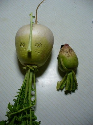 宇宙人.JPG