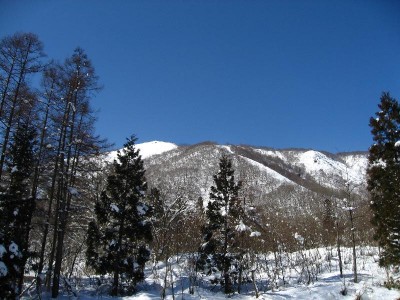 別荘の正面に見える景色。ココロが洗われますなぁ