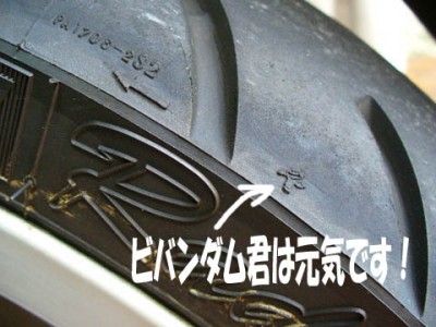 ビバンダム君をいたわろう！