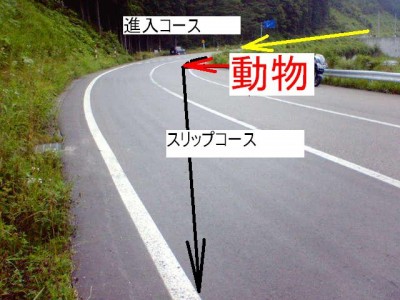 下りの左コーナーで、べったりと寝かせた時に動物発見！　リアブレーキをロックさせてしまい、そのまま矢印上をスリップ。
<br />地獄に落ちるようなスリップの感覚。