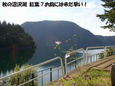 今年五月の喧騒がウソの様な本来の静かな沼沢湖！